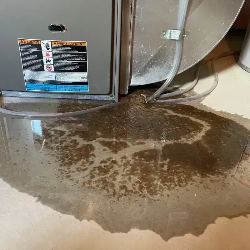 Appliance Leak Cleanup in Northcliff, TX